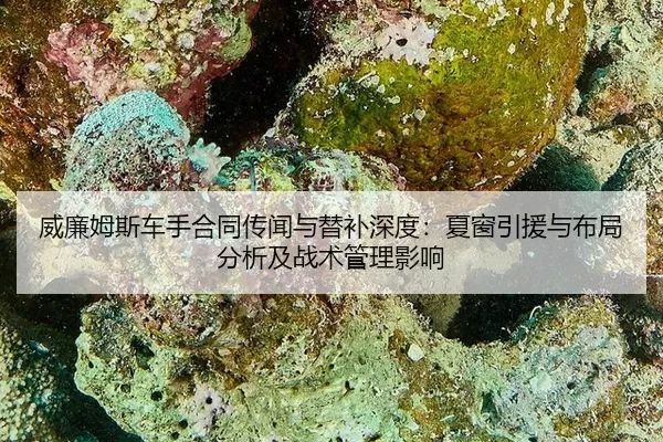 wei-lian-mu-si-che-shou-he-tong-chuan-wen-yu-ti-bu-shen-du-xia-chuang-yin-yuan-yu-bu-ju-fen-xi-ji-zhan-shu-guan-li-ying-2-989.jpg